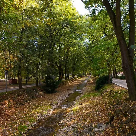 Appartement Simonovic Vrnjačka Banja